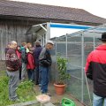Jungtierschau 2010 075_JPG