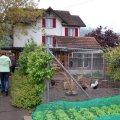 Jungtierschau 2010 081_JPG