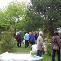 Jungtierschau 2010 095_JPG