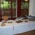 Jungtierschau 2010 108_JPG