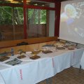 Jungtierschau 2010 109_JPG