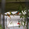 jung_2011_web_0012
