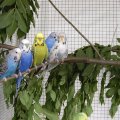 jung_2011_web_0013