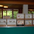 jung_2011_web_0014