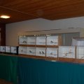 jung_2011_web_0015