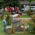 jung_2011_web_0019