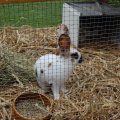 jung_2011_web_0021