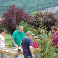 jung_2011_web_0024