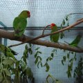 jung_2011_web_0030
