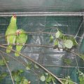 jung_2011_web_0031