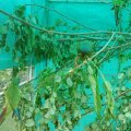 jung_2011_web_0032