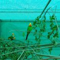 jung_2011_web_0033