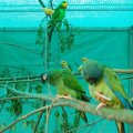 jung_2011_web_0068