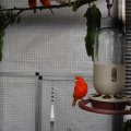 jung_2011_web_0069
