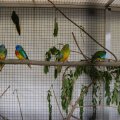 jung_2011_web_0070