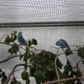 jung_2011_web_0073