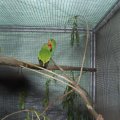 jung_2011_web_0074
