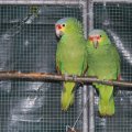 jung_2011_web_0075