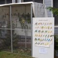 jung_2011_web_0091