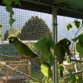 jung_2012_web_0001