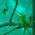 jung_2012_web_0002