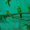 jung_2012_web_0012