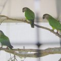 jung_2012_web_0029