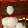 jung_2012_web_0143