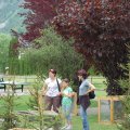 jung_2012_web_0153
