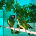jung_2013_web_0013