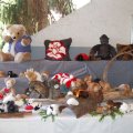jung_2013_web_0022