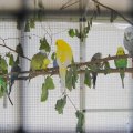 jung_2013_web_0049