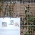 jung_2014_web_0024