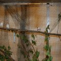jung_2014_web_0025