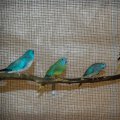 jung_2014_web_0027