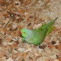 jung_2014_web_0030