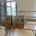 jung_2015_web_0037