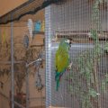 jung_2015_web_0065