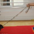 jung_2015_web_0066