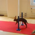 jung_2015_web_0073