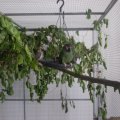 jung_2016_web_0011