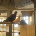 jung_2016_web_0023