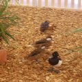 jung_2016_web_0033