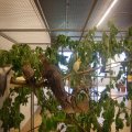 jung_2016_web_0035