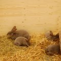 jung_2016_web_0051