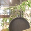 jung_2016_web_0062