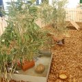 jung_2017_web_0026