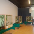jung_2017_web_0033