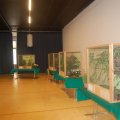 jung_2017_web_0034