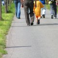 PICT0332_JPG